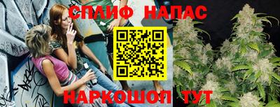 мдпв Рязань