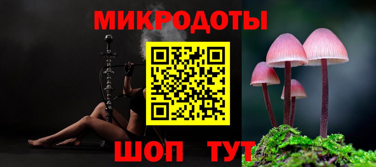 Псилоцибиновые грибы Psilocybine cubensis Славгород